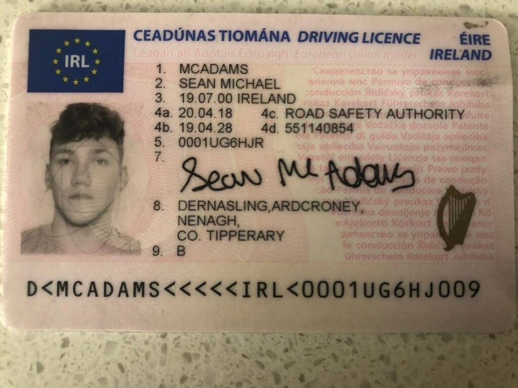 Irish Driving Licence