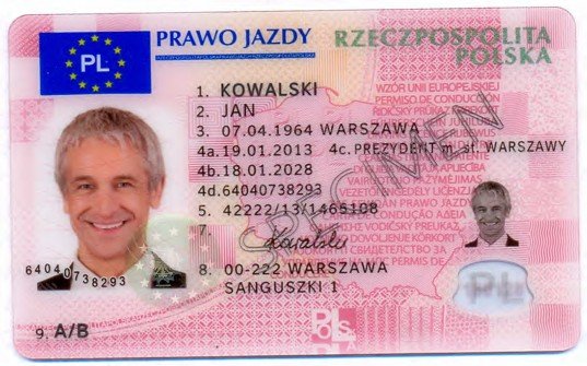 Polish Driving Licence